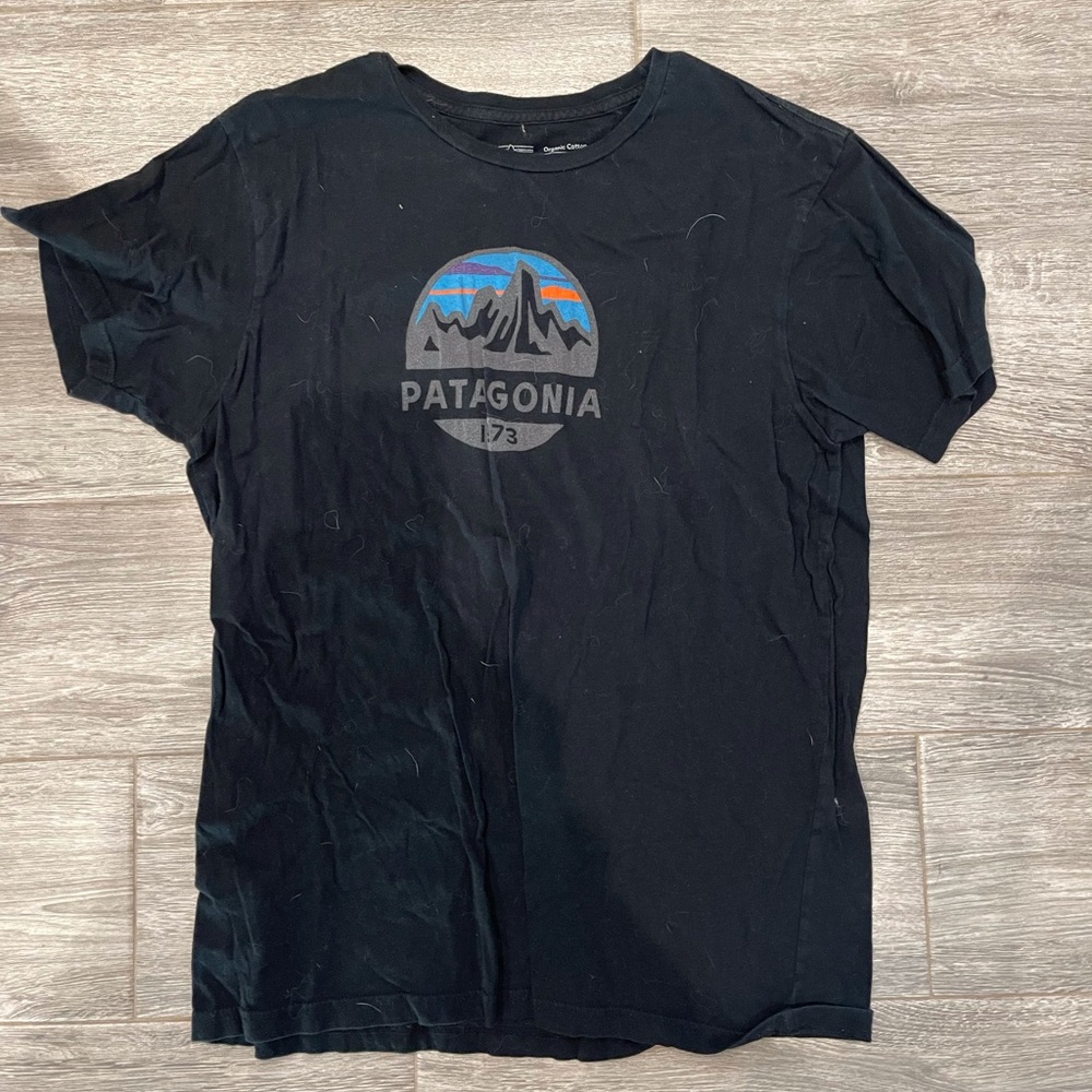 Men’s Patagonia Tshirt